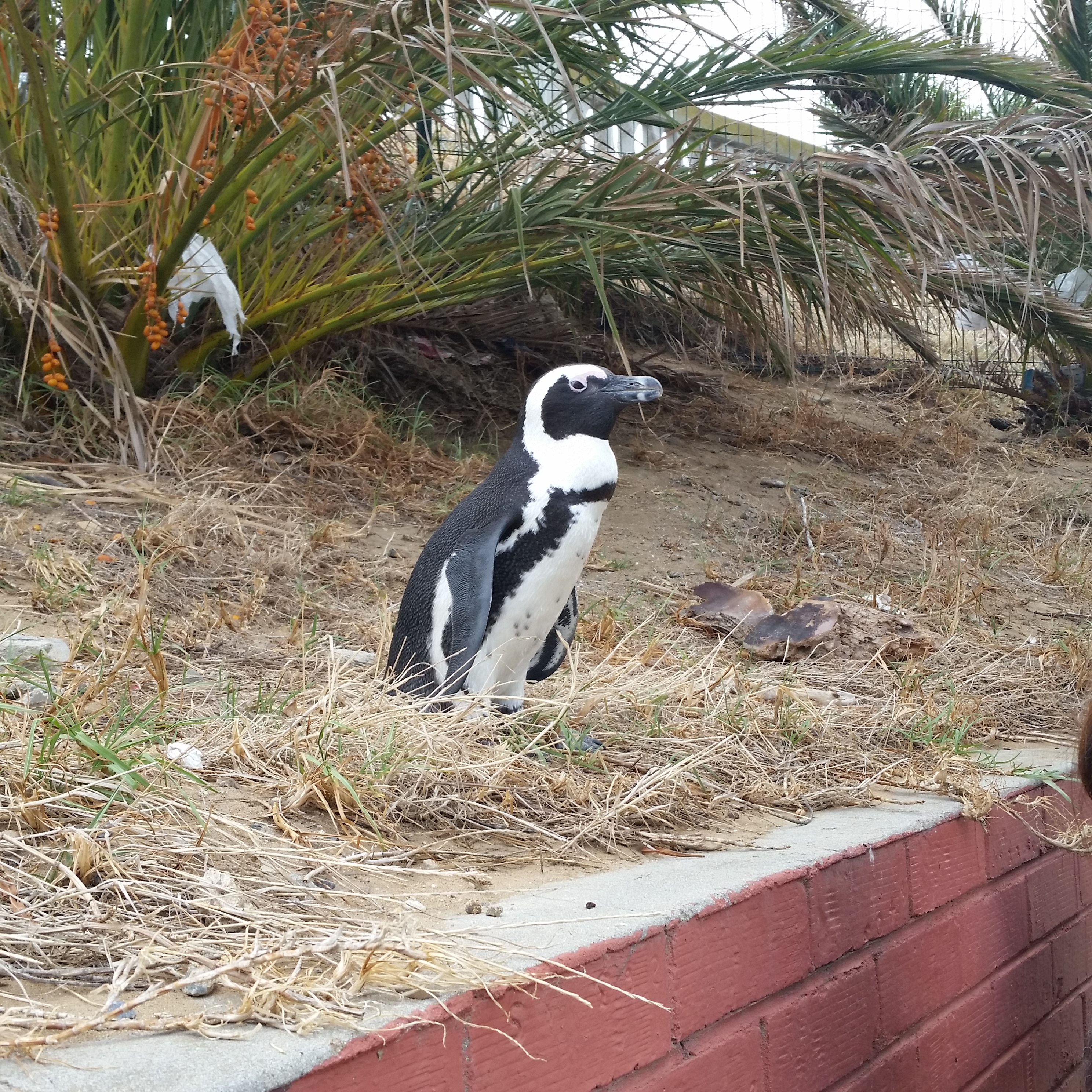 20180309_091831