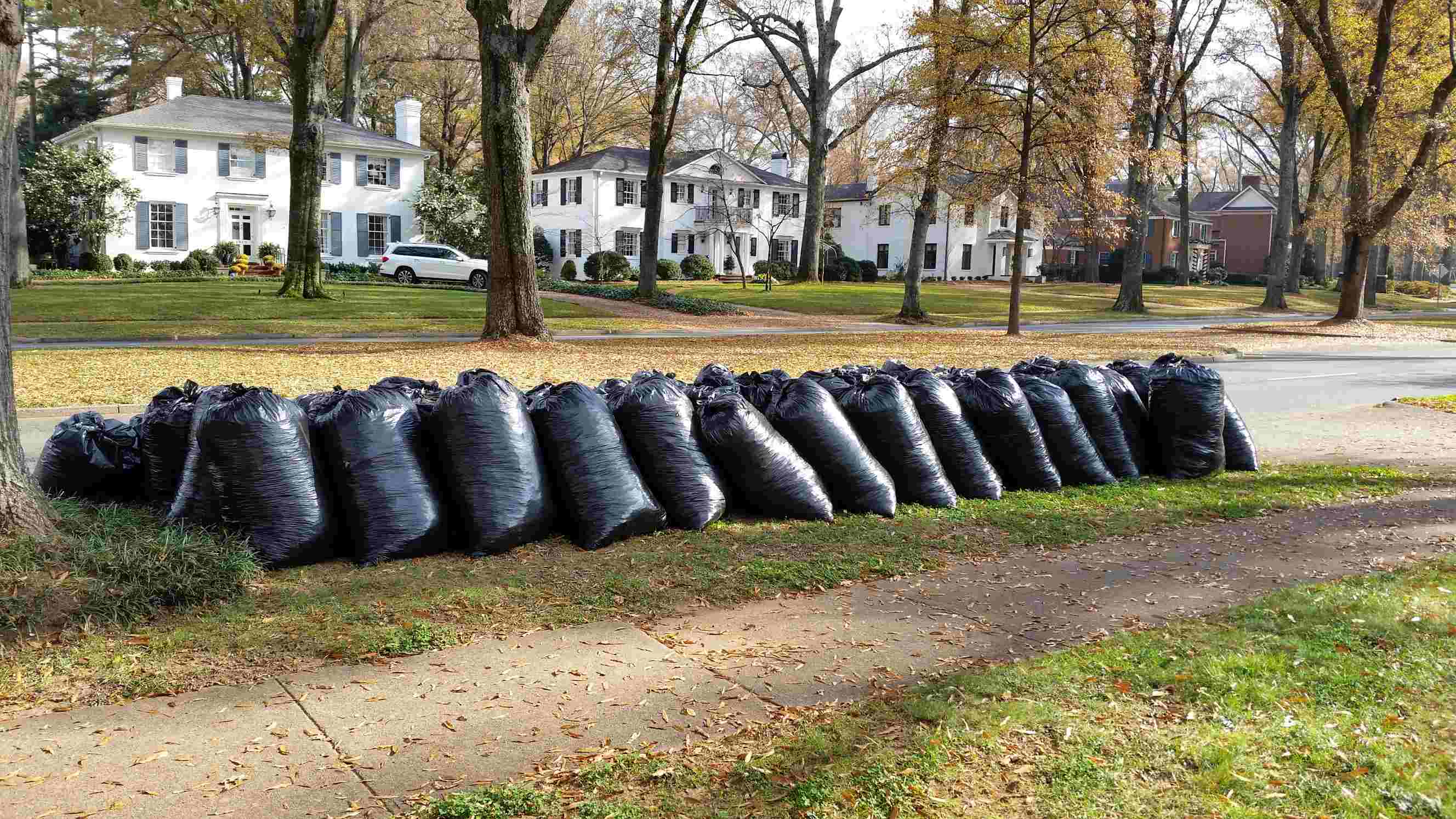63 wio reduced leaf bags on Queens Road West Dec 5,17