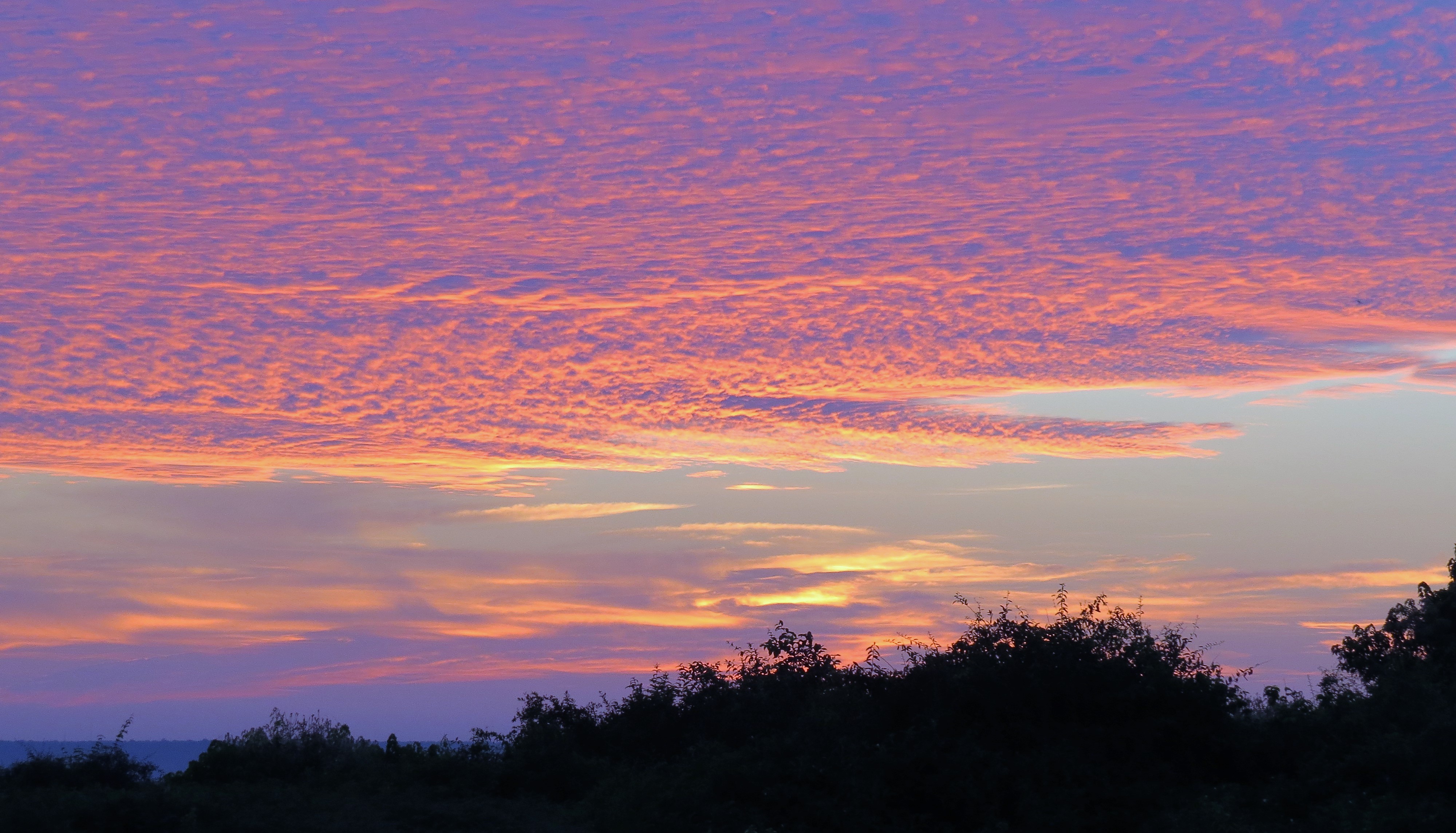 early sun rise on lake chobe_0007