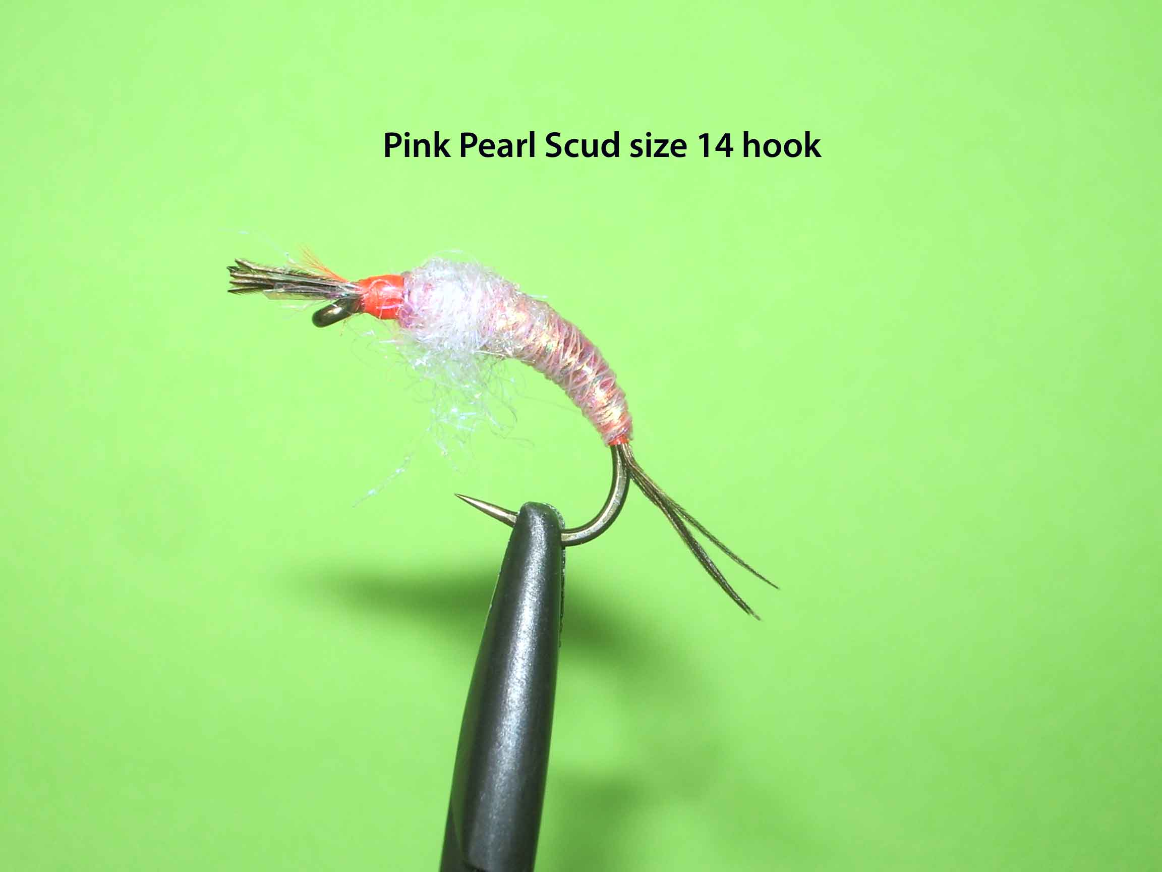 pink-pearl-scud-8882