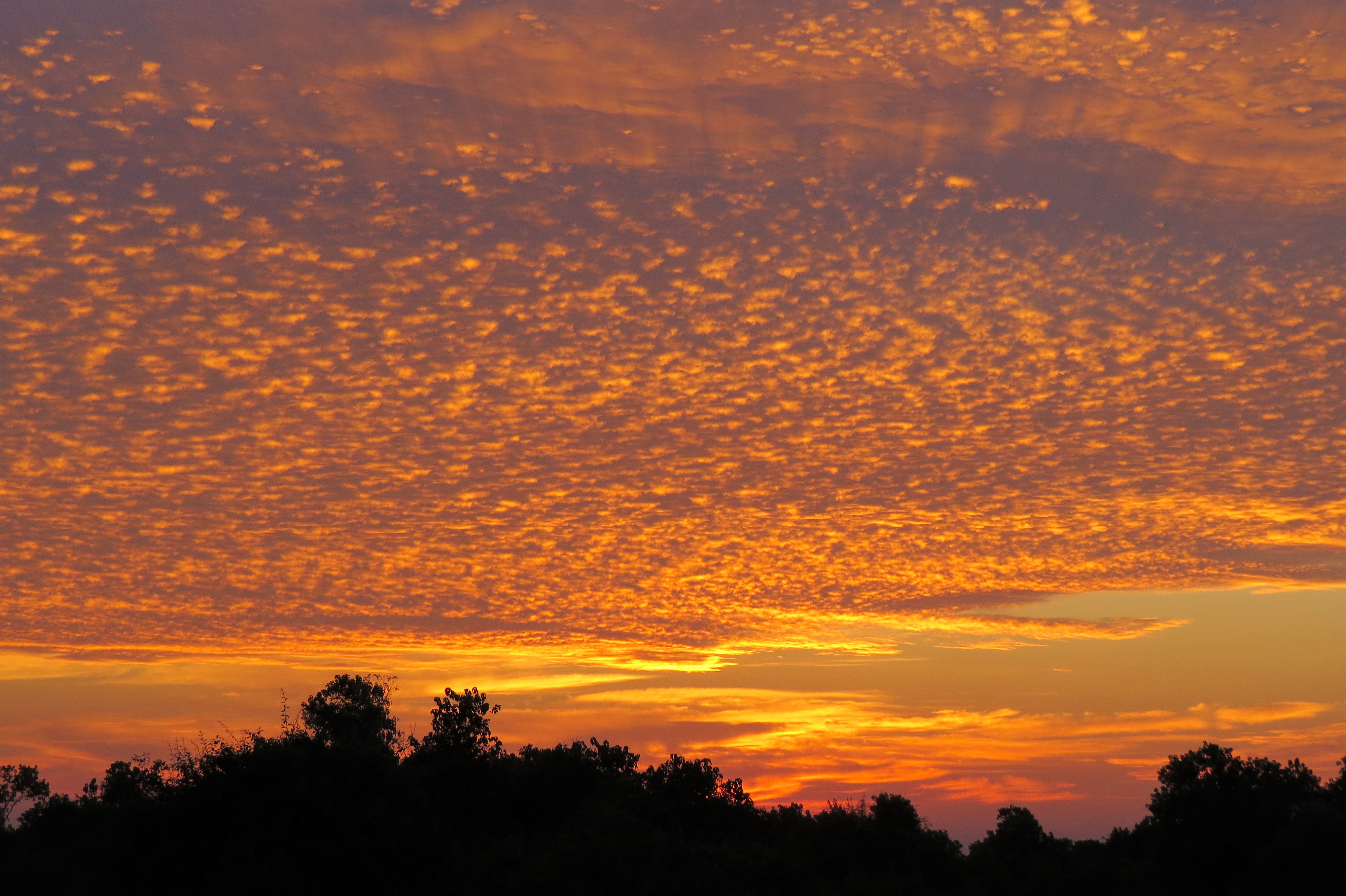 sunrise scattered clouds_0011